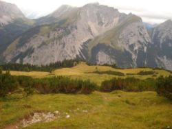 2013-09-08_6Falkenh-Steinfalk (262).JPG